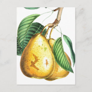 Goldene Birnen Rezeptkarte Postkarte