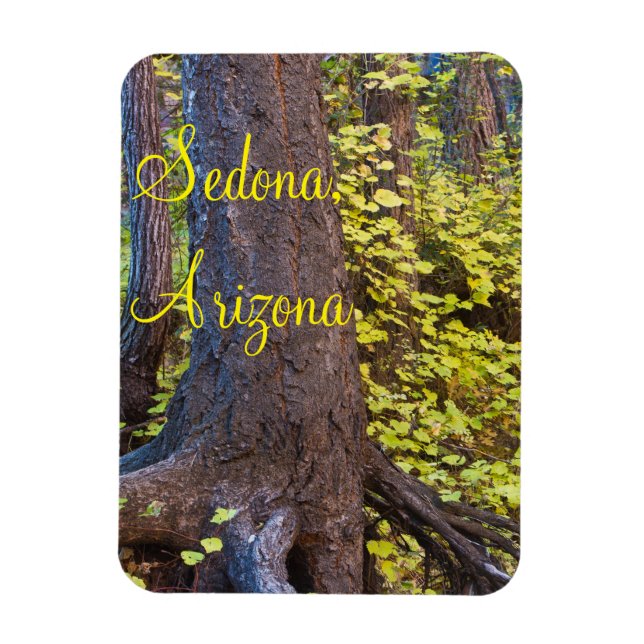 Goldene Blätter auf dem Westfalen Magnet (Vertikal)