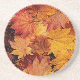 GOLDENE BLÄTTER DER AUTUMN GETRÄNKEUNTERSETZER