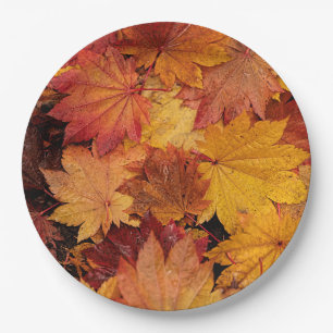 GOLDENE BLÄTTER DER AUTUMN PAPPTELLER