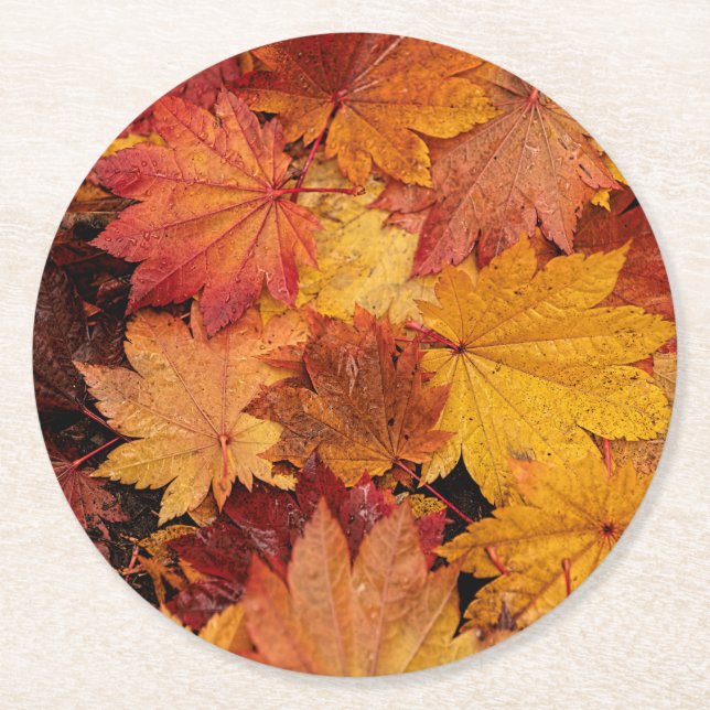 GOLDENE BLÄTTER DER AUTUMN RUNDER PAPPUNTERSETZER (Vorderseite)