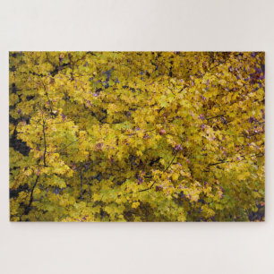 Goldene Blätter des Herbstes - 20 x 30 Zoll