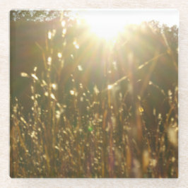 "Goldene Blätter des Sonnenlichts" ursprüngliche Glasuntersetzer