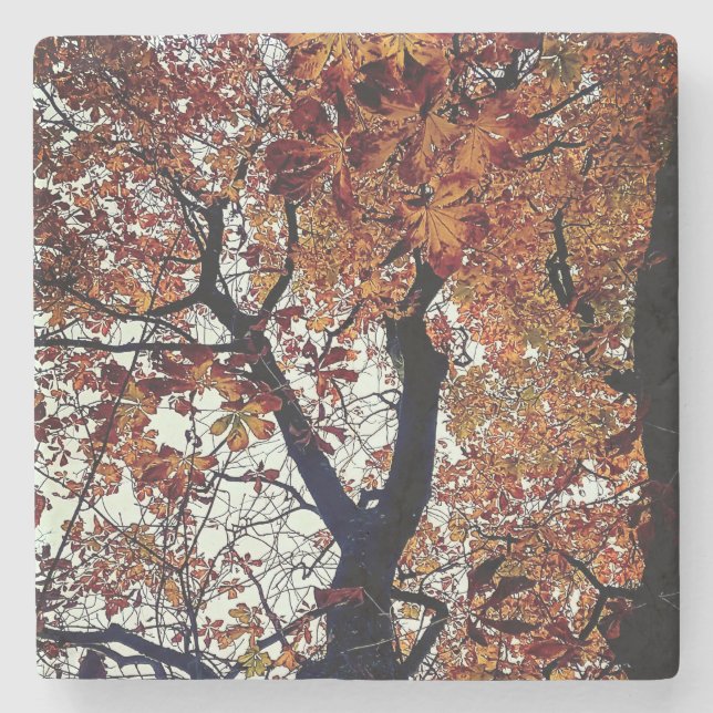 Goldene Blätter Steinuntersetzer (Vorderseite)