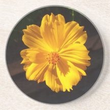 Goldene Blume Makrofotografie