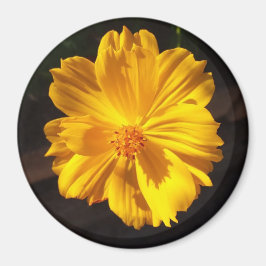 Goldene Blume Makrofotografie Magnet
