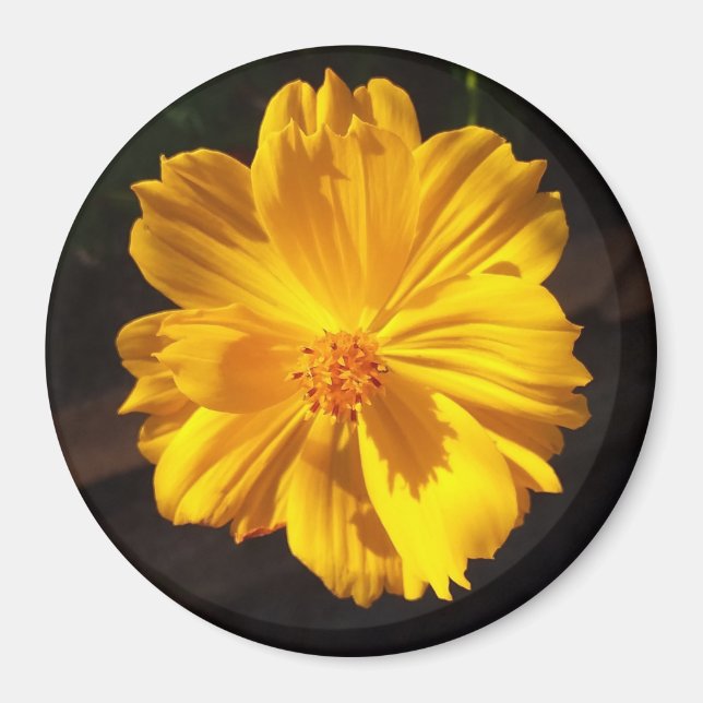 Goldene Blume Makrofotografie Magnet (Vorne)