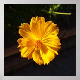 Goldene Blume Makrofotografie Poster