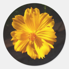 Goldene Blume Makrofotografie Runder Aufkleber
