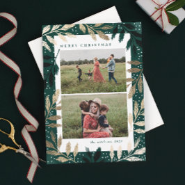 Goldene Branchen 2 Foto Weihnachten