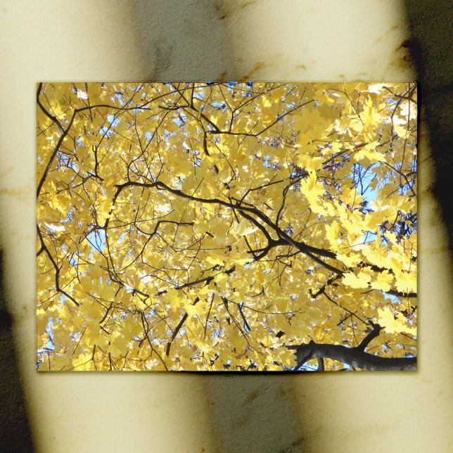 Goldene Canoper Postkarte (Von Creator hochgeladen)