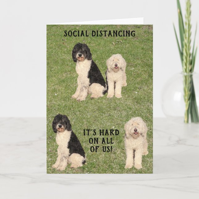 Goldene Doodle-Hunde in sozialer Distanz Karte (Vorderseite)