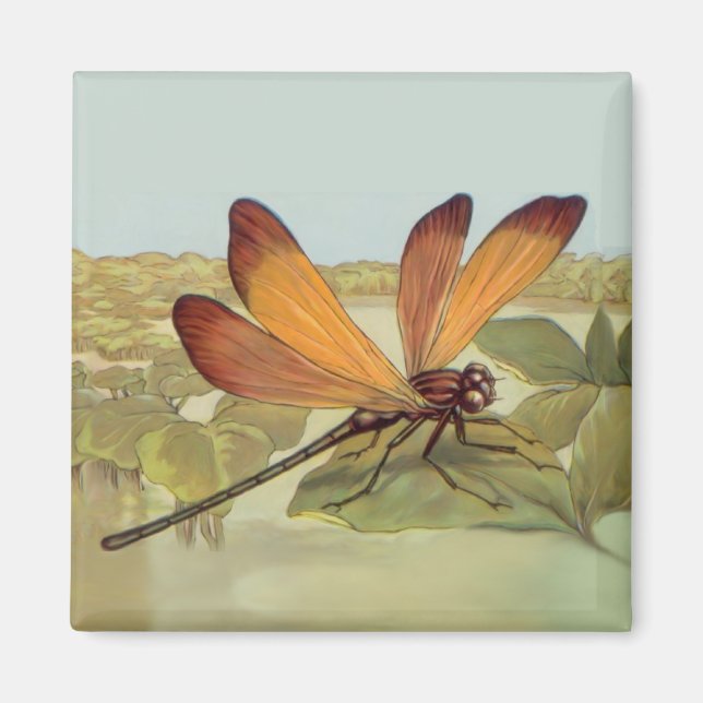 Goldene Dragonfly Magnet (Vorne)