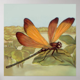 Goldene Dragonfly Poster