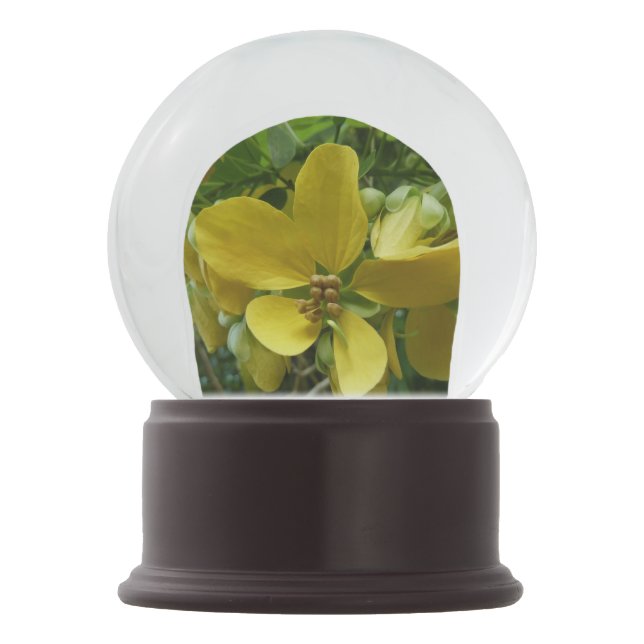Goldene Dusche Tropengelbe Blüte Schneekugel (Vorderseite)