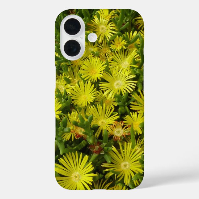 Goldene Eispflanze Gelbe Blumen iPhone 16 Hülle (Rückseite)
