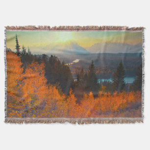 Goldene Espen oberhalb des Snake River bei Sonnenu Decke
