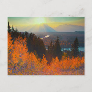 Goldene Espen oberhalb des Snake River bei Sonnenu Postkarte