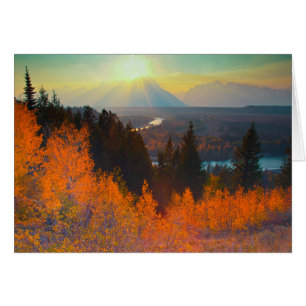 Goldene Espen über dem Snake River bei Sonnenunter