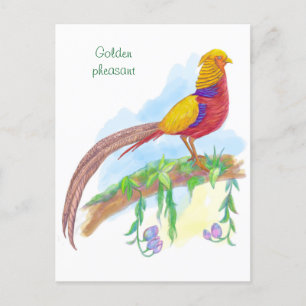 Goldene Fasan Feiertagspostkarte