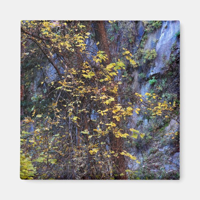 Goldene Foliage Magnet (Vorne)