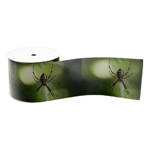 Goldene Gartenspinne Ripsband
