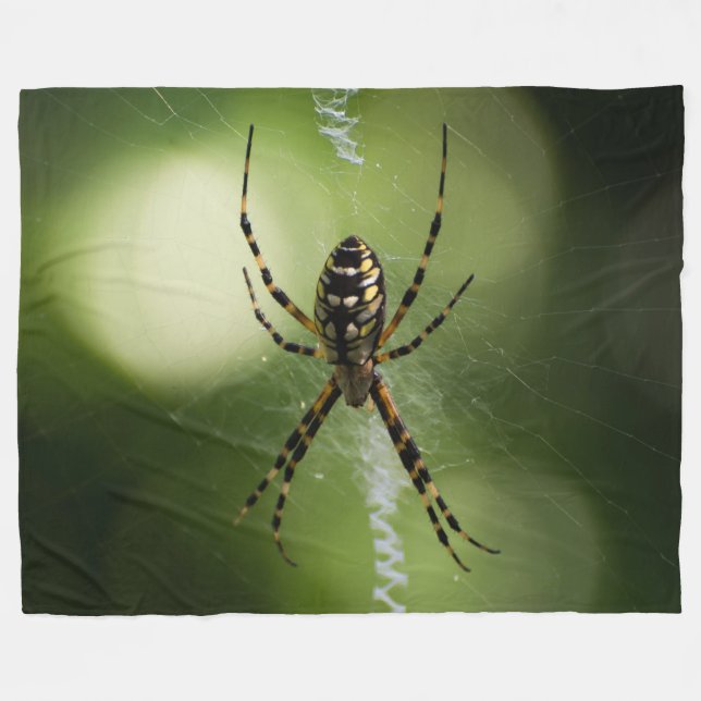 Goldene Gartenspinnenfotografie Fleece Blanket (Vorderseite (Horizontal))