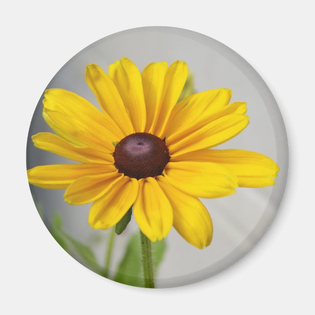 Goldene gelbe Blume Magnet (Vorne)