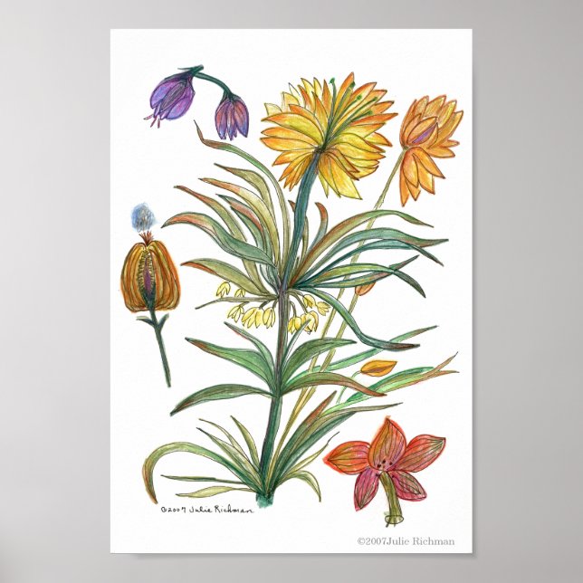 Goldene gelbe Blumen 52 Poster-A Poster (Vorne)