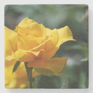 Goldene gelbe Rosen-Knospe Steinuntersetzer