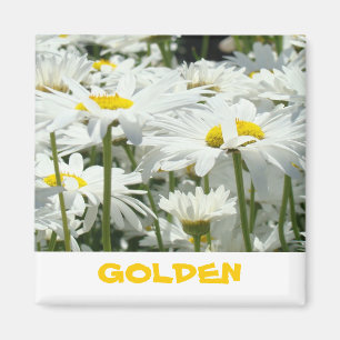 GOLDENE Geschenke Magnete Weiße Daisy Blumen Spaß Magnet