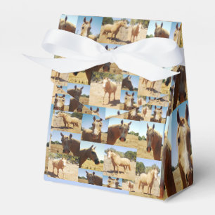 **"Goldene Gnade: Ein Palomino-FotoCollage"** Geschenkschachtel
