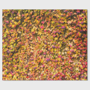 Goldene Herbstfarben Efeu Wand Geschenkpapier