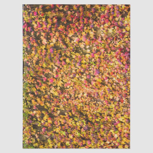 Goldene Herbstfarben Efeu Wand Seidenpapier (Vorderseite)