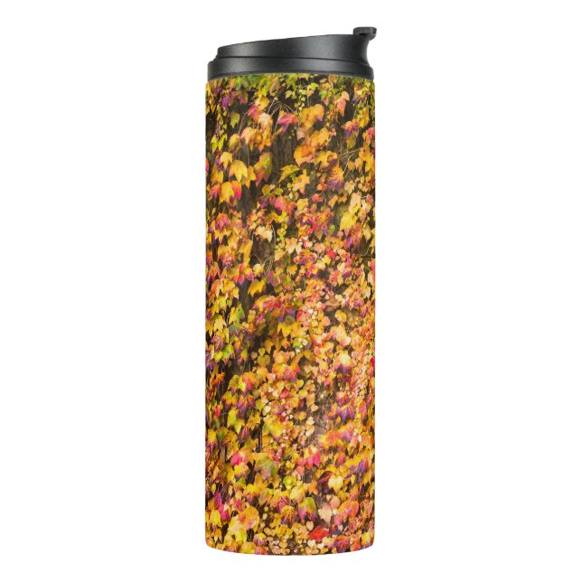 Goldene Herbstfarben Efeu Wand Thermosbecher (Nach links gedreht)