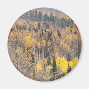 Goldene Herbstlandschaft Magnet