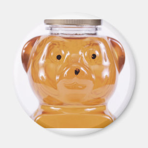 Goldene Honig-Bärn-Gesichts-Ansicht Magnet