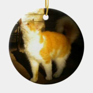 Goldene Katze Keramik Ornament