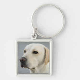 Goldene Labrador retriever-Fotografie Schlüsselanhänger