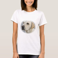 Goldene Labrador retriever-Fotografie
