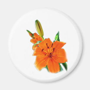 Goldene Lilie Magnet