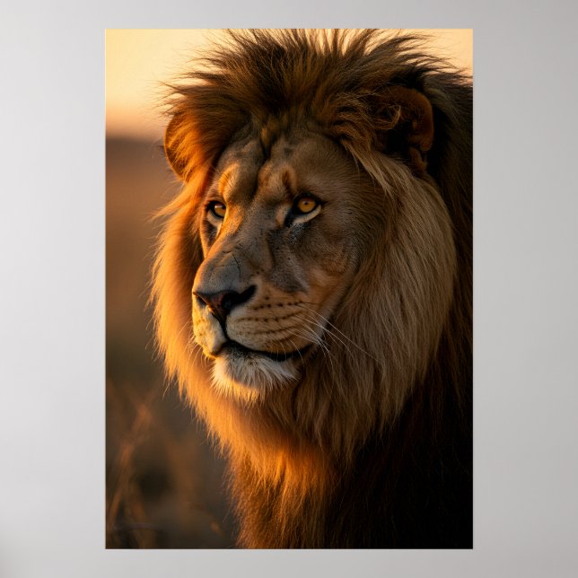 Goldene Majestät: Die Regierung des Königs Poster (Vorne)