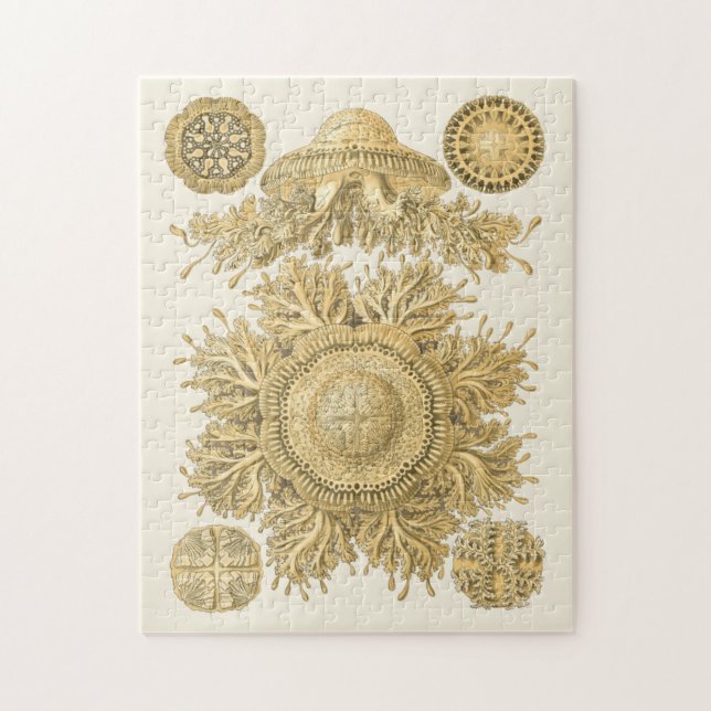 Goldene Meerestiere (Vertikal)