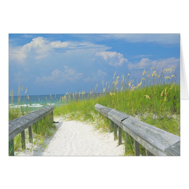 Goldene Meerestiere (Vorderseite (Horizontal))