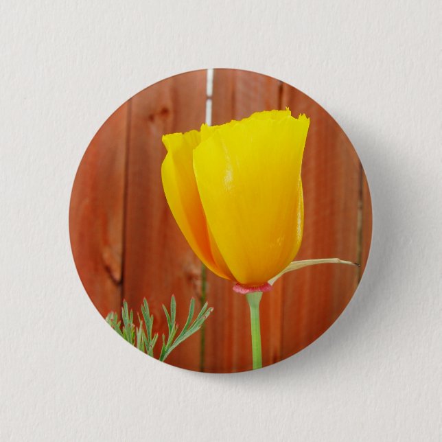 Goldene Mohnblume Button (Vorderseite)