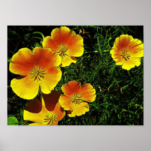 Goldene Mohnblumen Poster