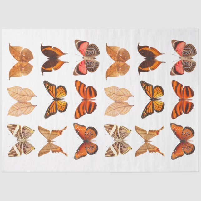 Goldene Orange-Schmetterlingssammlung Seidenpapier (Vorderseite)