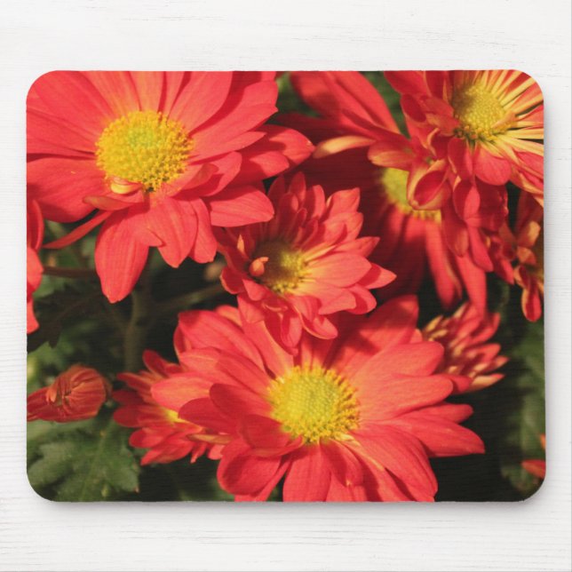 Goldene, orangefarbene Blume. Mousepad (Vorne)