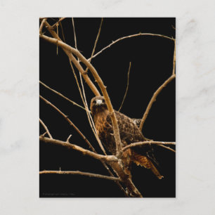 Goldene Postkarte