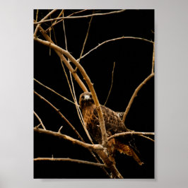 Goldene Print Poster